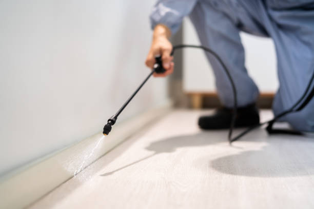Licensed Cockroach Control service in Burt, MI - Nex Pest Control