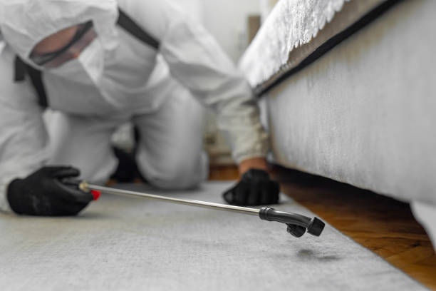 Professional Cockroach Control technician working in Burt, MI