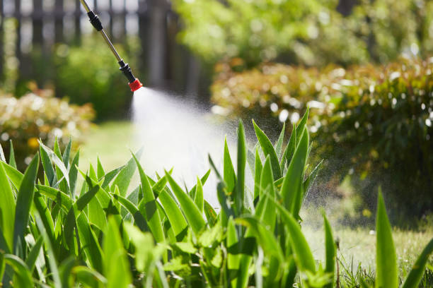 24/7 Emergency Cockroach Control experts in Burt, MI
