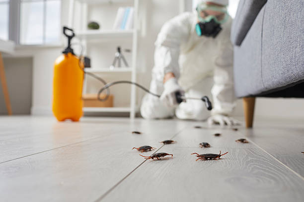 Affordable Cockroach Control solutions in Burt, MI