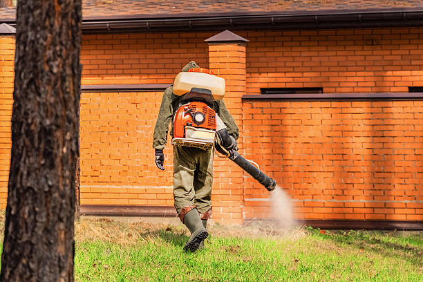 Top rated local Cockroach Control specialists in Burt, MI